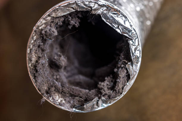 Best Professional Duct Cleaning Services  in Thornport, OH