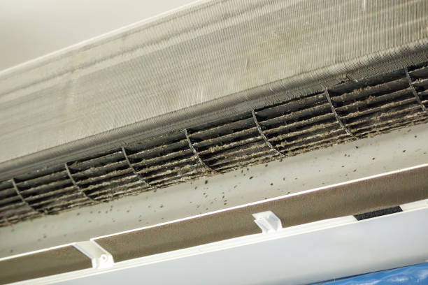 Best Emergency Air Duct Cleaning  in Thornport, OH